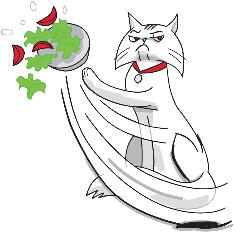 Cat swats away a salad