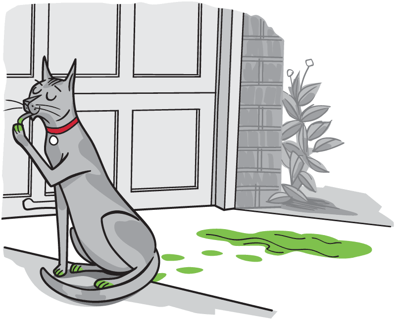 Cartoon cat licking antifreeze