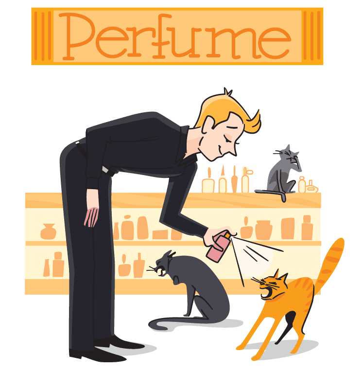 Cats hacking from the smell of perfume