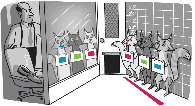 Cats in police lineup