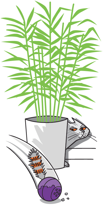 Cat stalks a toy ball with tail