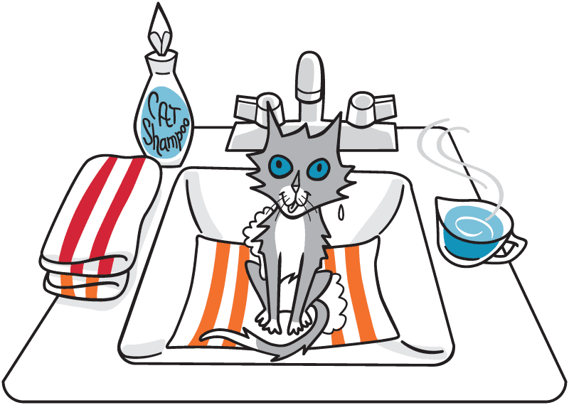 Cat bathing in a sink