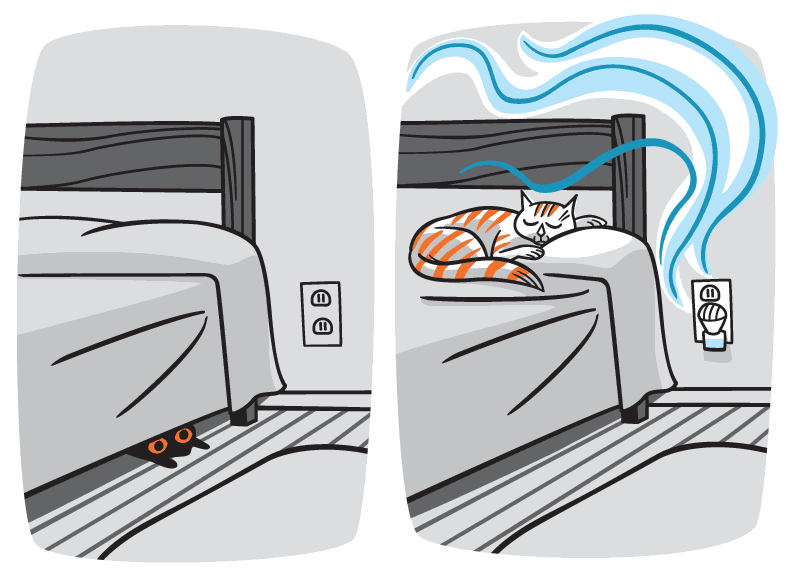 Cat enjoying scented air