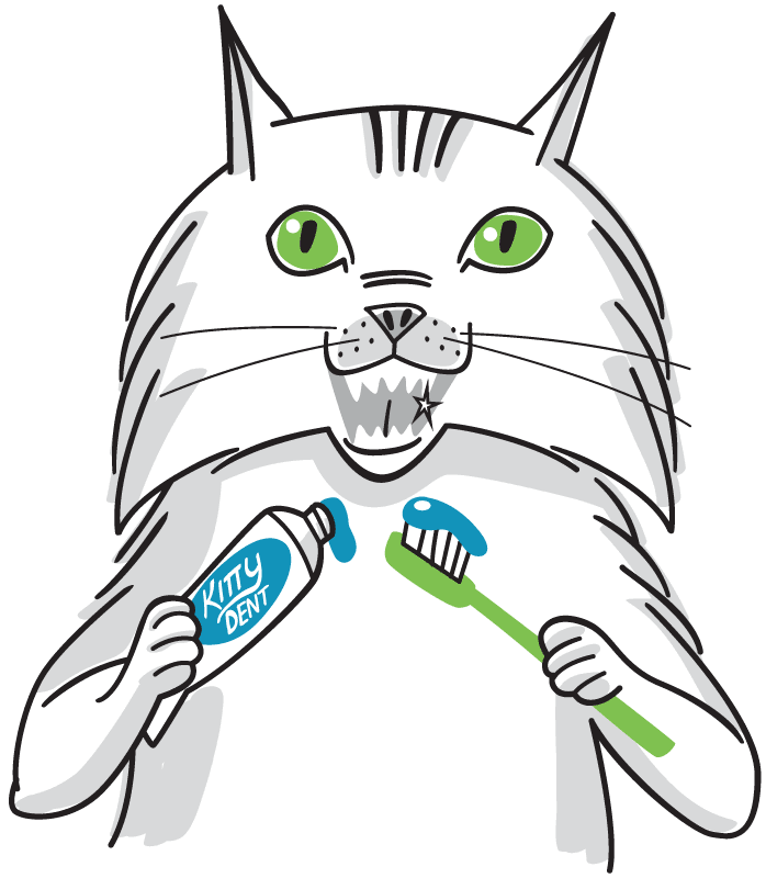 Cat brushing teeth