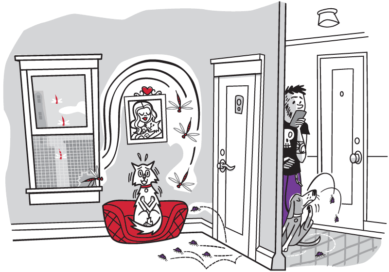 Stressed cat surrounded by parasites from dog