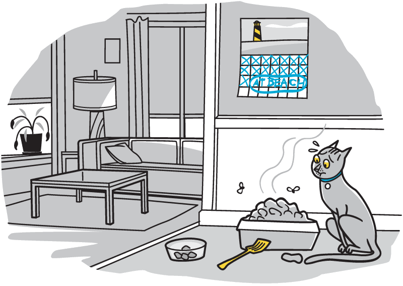 Cat can't stand filthy litter box