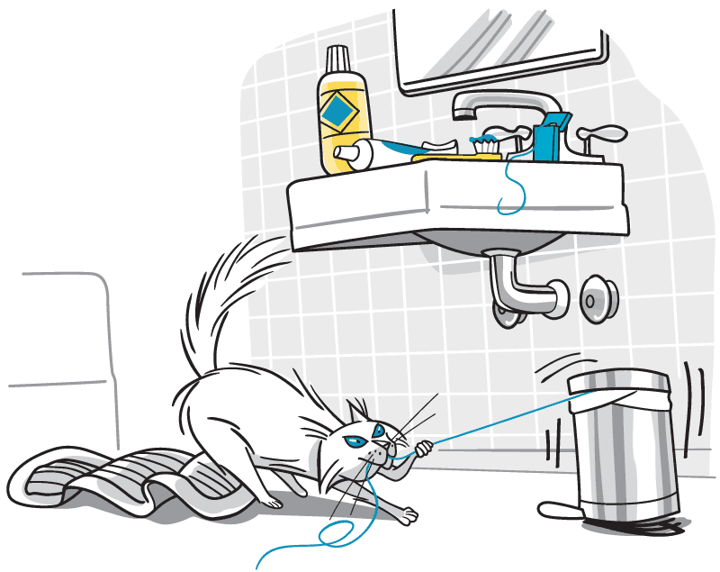 Cat pulls on floss from bathroom garbage can