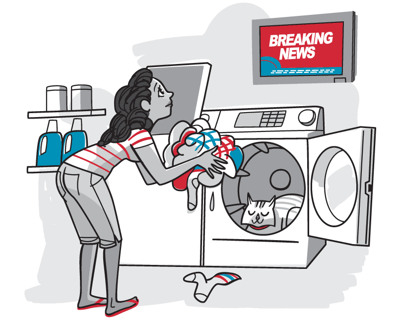 Illustration of cat sleeping in dryer