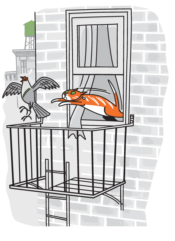 Cat leaps for pigeon on fire escape