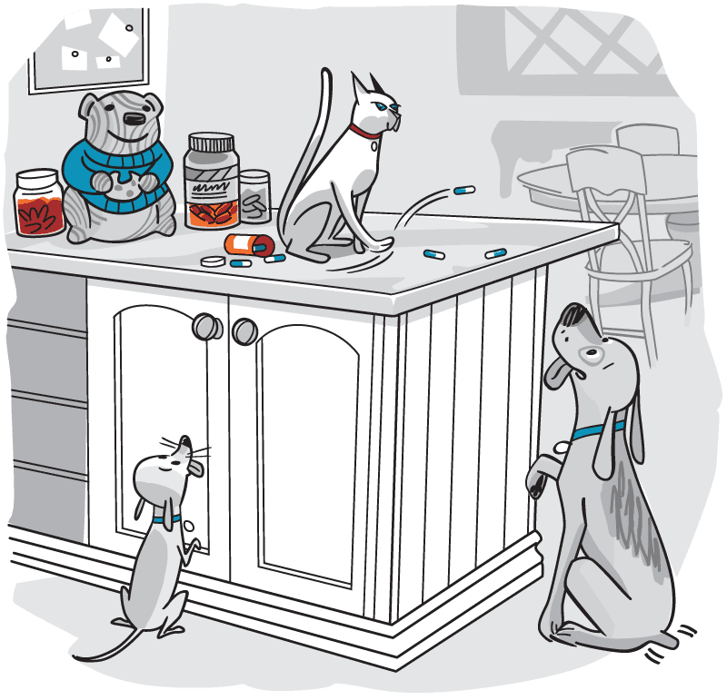 Cat swats pills from counter on to floor