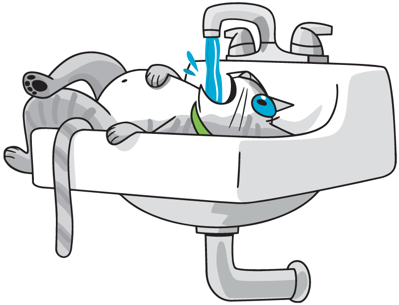 Cat drinking lots of water straight from the tap