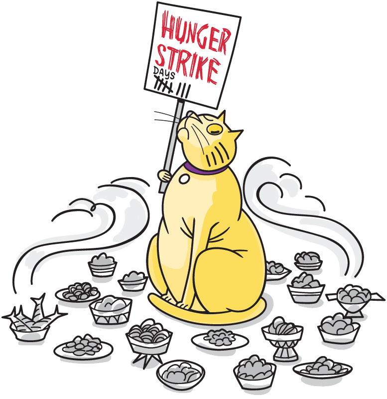 Cat on hunger strike