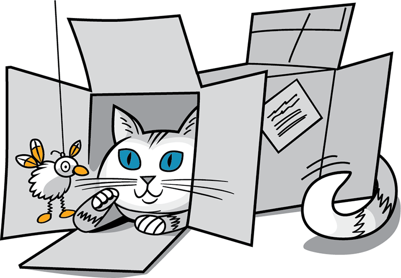 Cat playing in a box