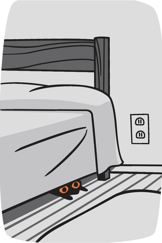 Cat hiding under bed