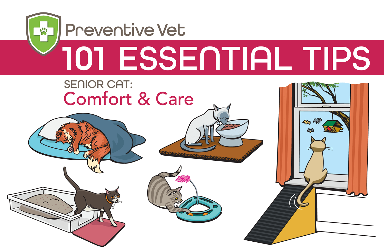 Preventive Vet 101 Essential Tips: Senior Cat Comfort & Care