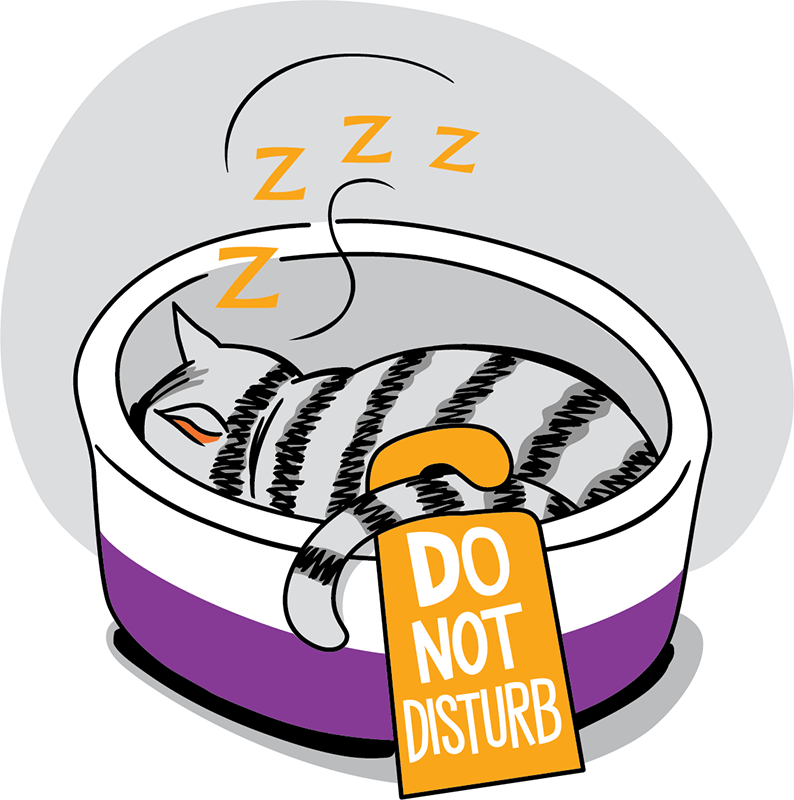 Cat face-down in bed with a do not disturb sign