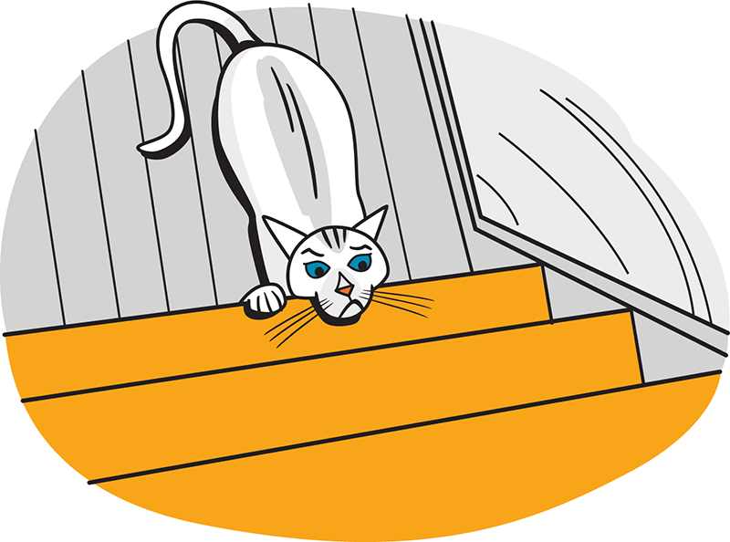 Cats positioned at the top of stairs
