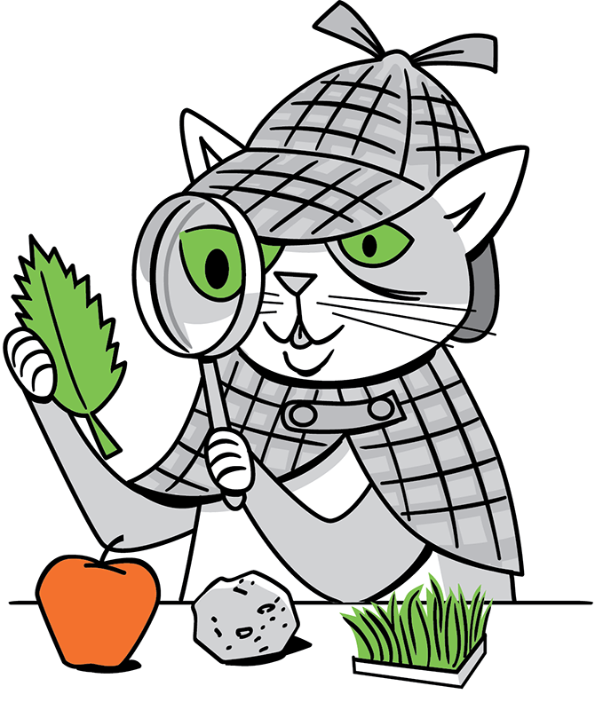 Cat dressed like Sherlock Holmes investigating a leaf