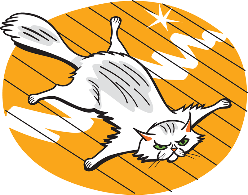 Cats laying down on washed floor