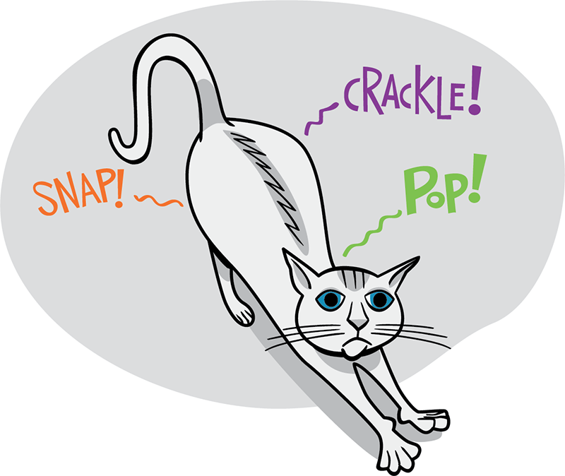 Cat stretches and their joints make a snap, crackle, pop sound