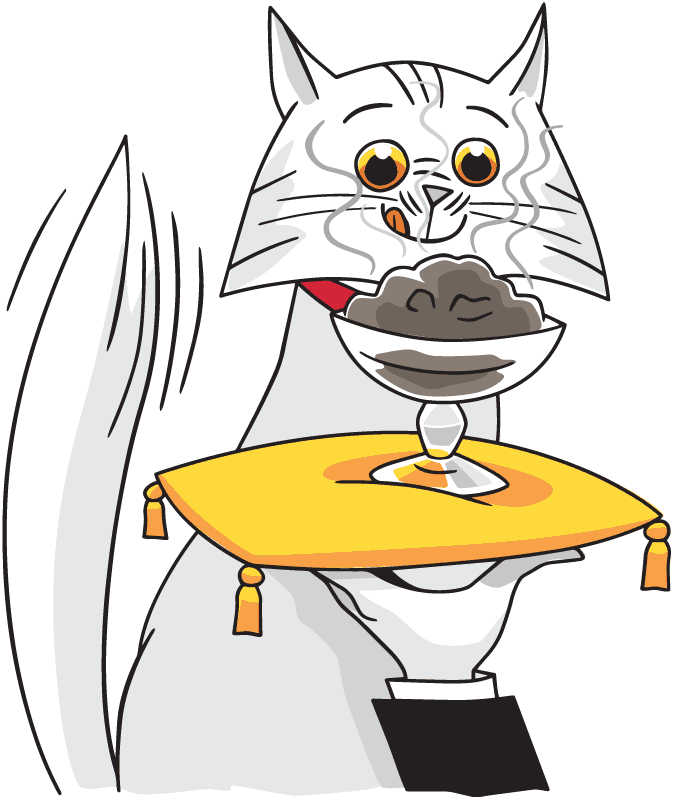 Cat being served a fancy meal on a pillow