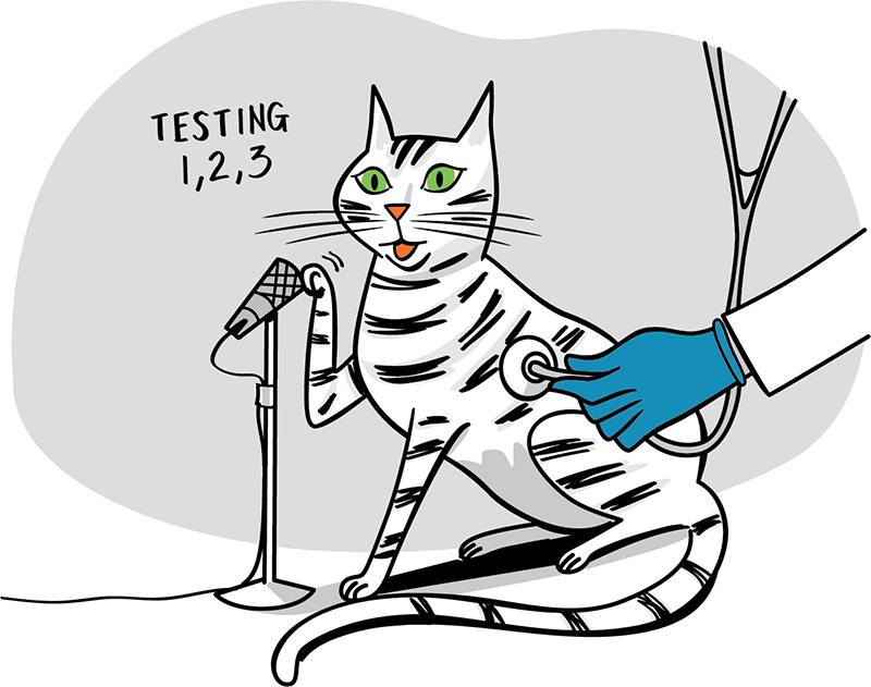 Cat does mic check