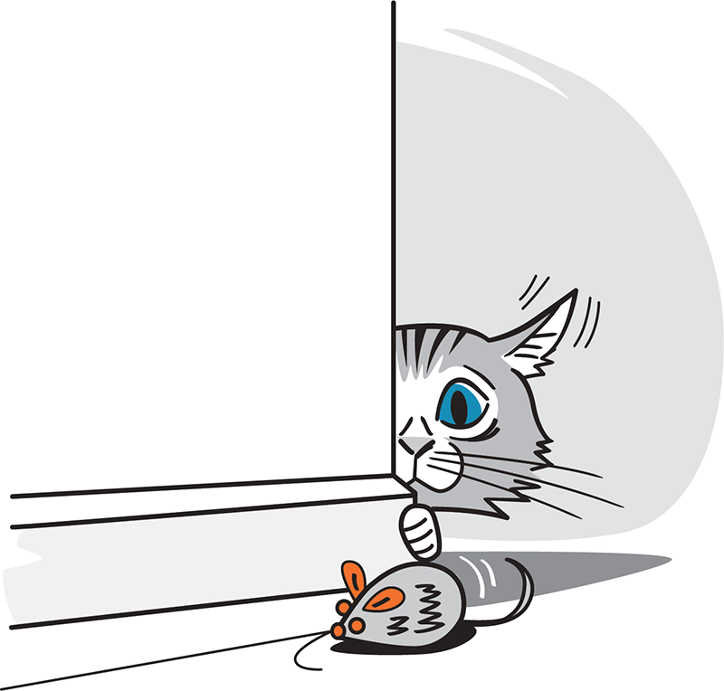 Cat eyeing up a toy mouse