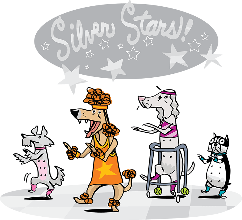 Senior dogs doing aerobics