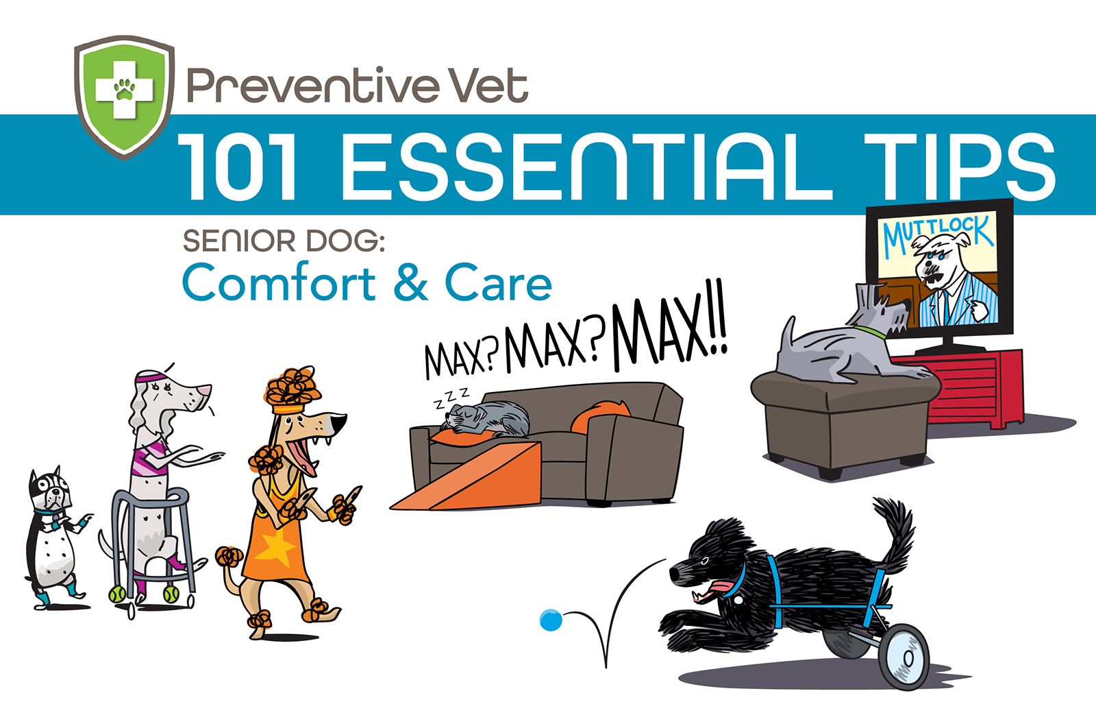 Preventive Vet 101 Essential Tips: Senior Dog Comfort & Care