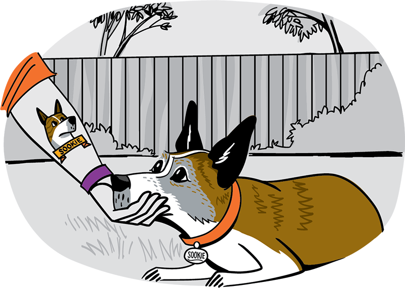 Hand holding up a dog's head by the chin