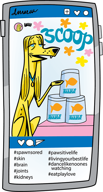 Illustration of advertising on a phone for supplements
