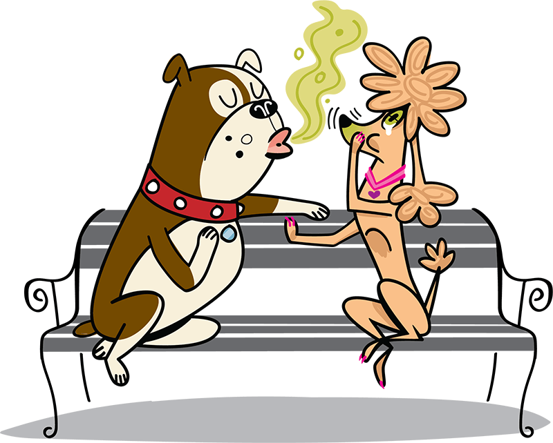 Dog on a park bench leaning in for a kiss with stinky breath