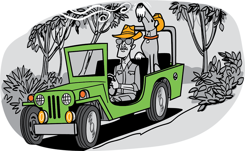 Dog in an open-top safari jeep sniffing up in the air
